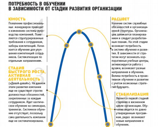 Структурирование персонала организации